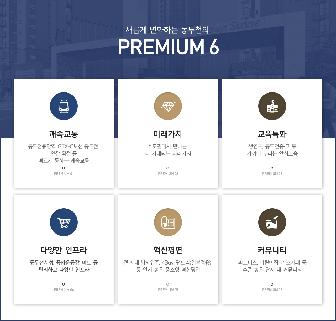 브라운스톤 인터포레 프리미엄 6